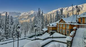 Golden Meadows Experience