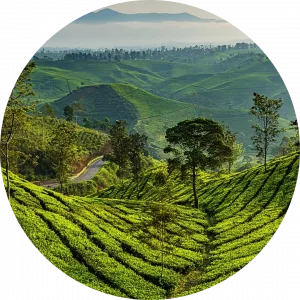 White Gray Simple Geometric Professional Circle Profile Photo Instagram Post