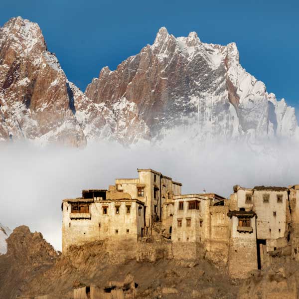 Ladakhi Highlights | Visit to stok Village