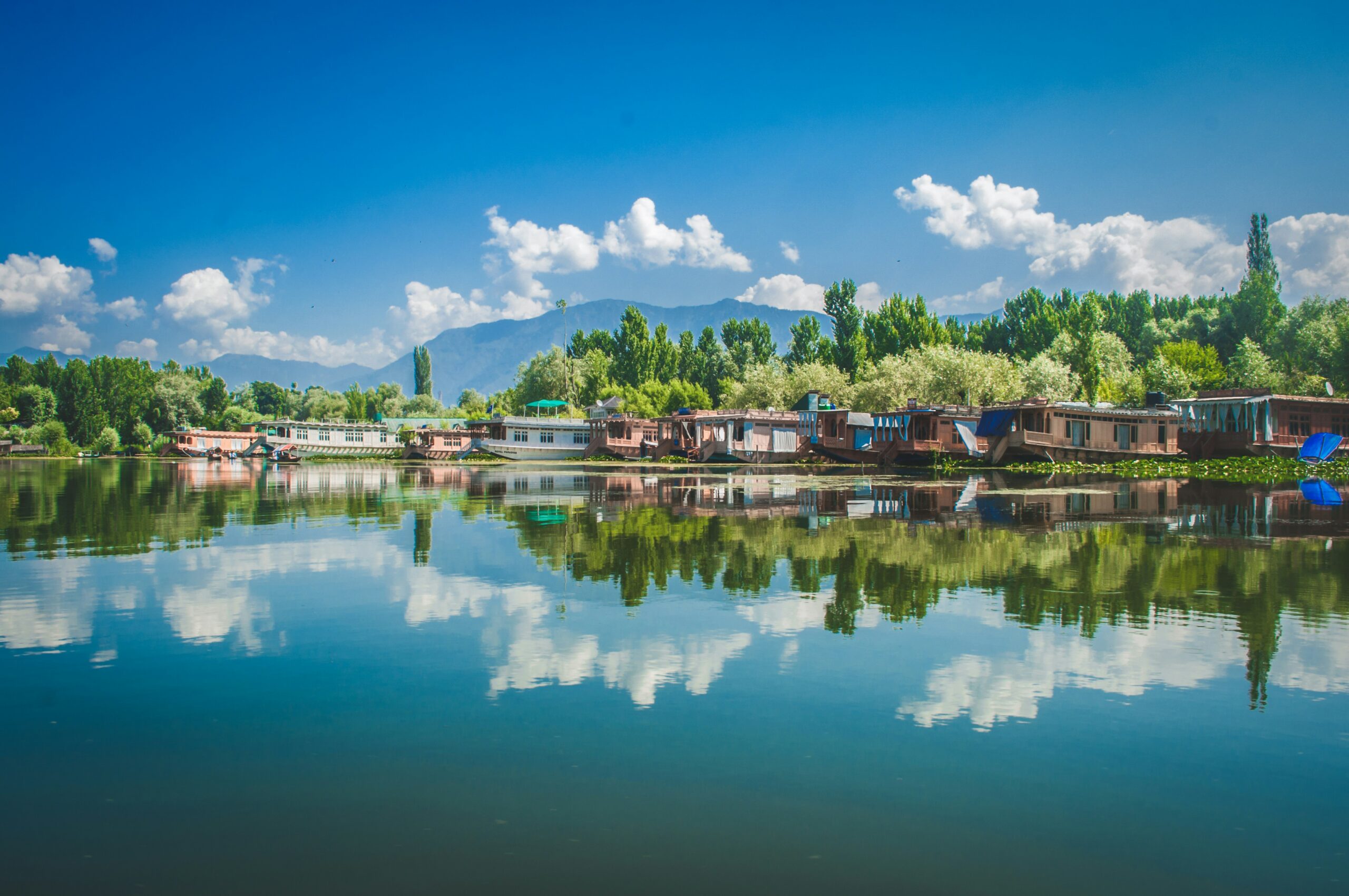 Dal lake Srinagar