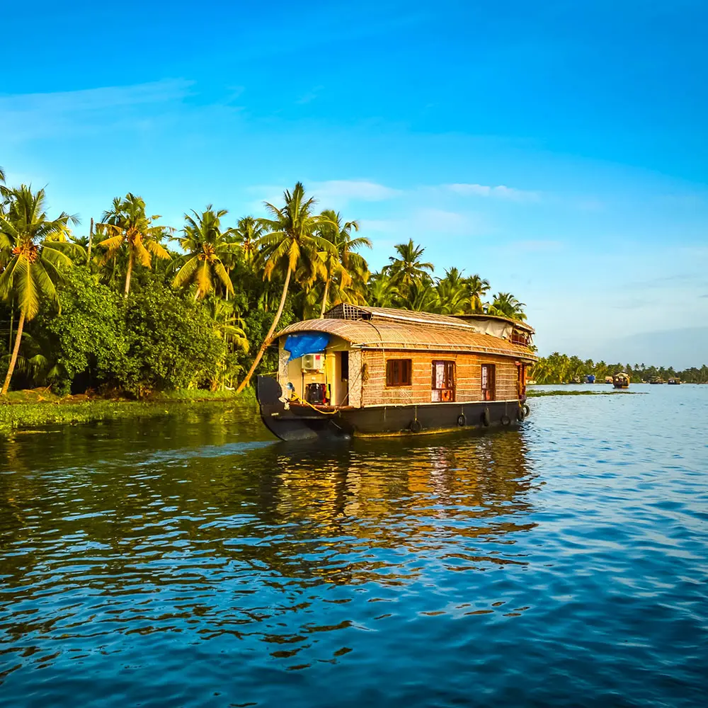 The KERALA Grandeur | Munnar, Alleppey, Thekkady.