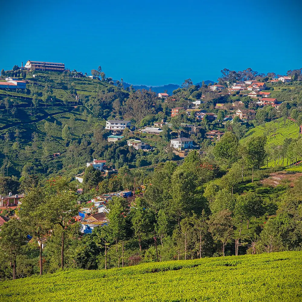 3 Days Exclusive OOTY & COONOOR Holiday.