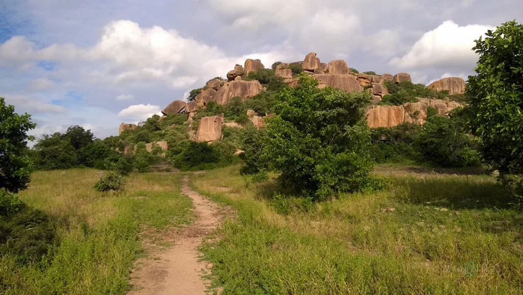 Ruins of Rachakonda Fort