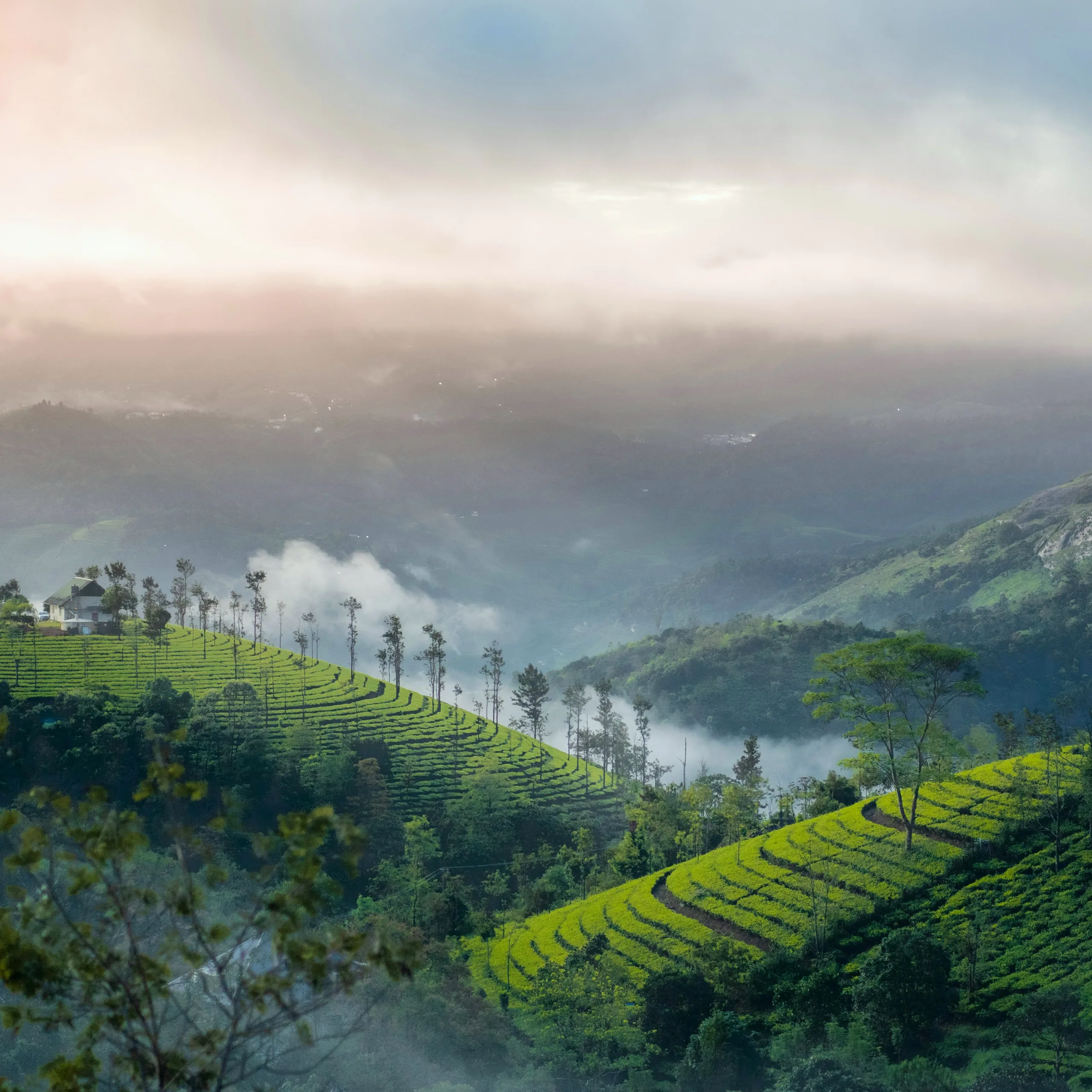 Munnar