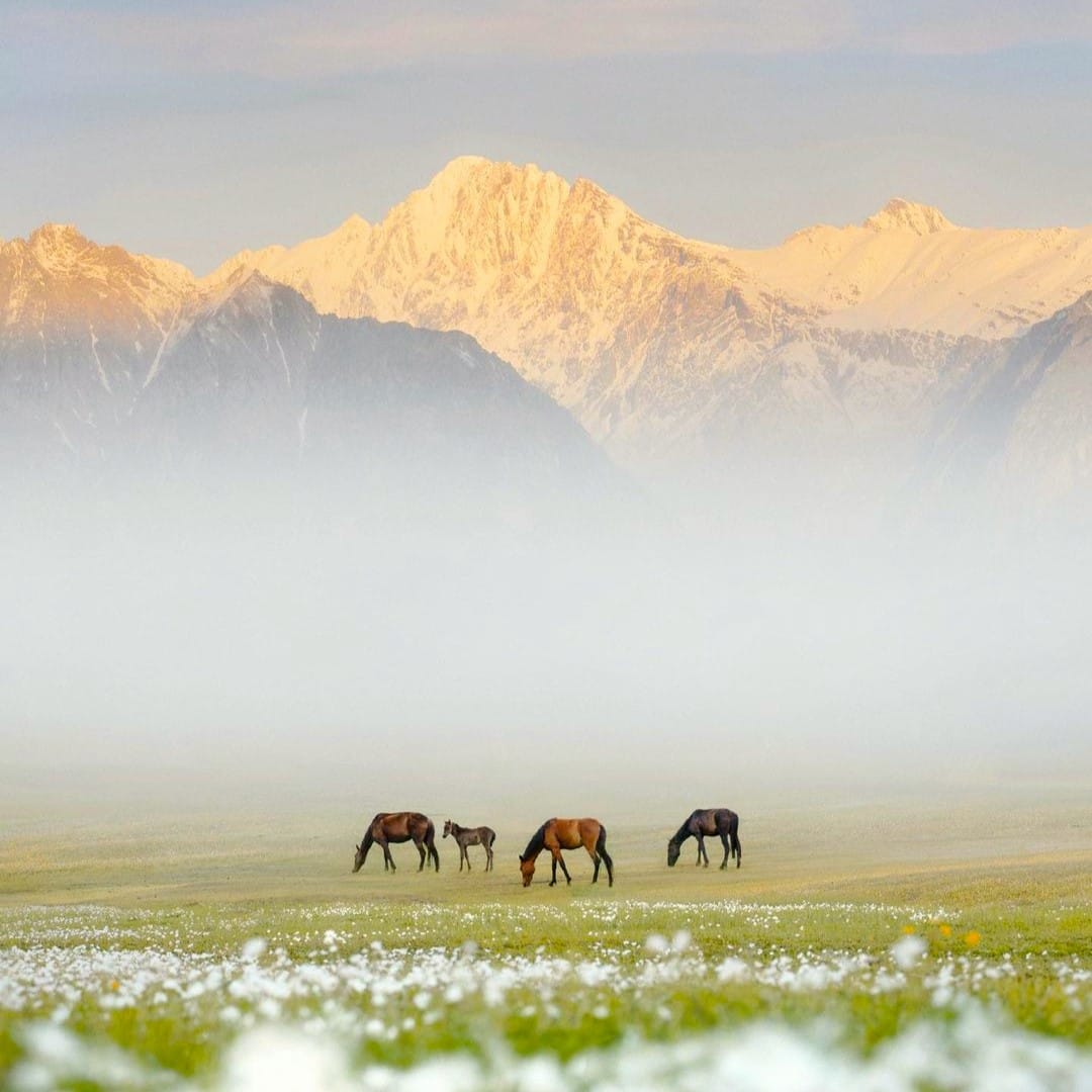 12 Days Kashmir Grand Tour with Gurez Valley