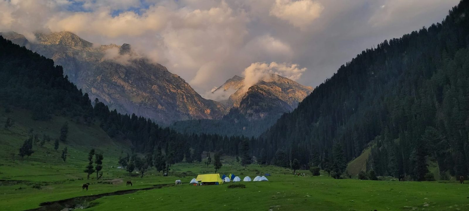 Kashmir