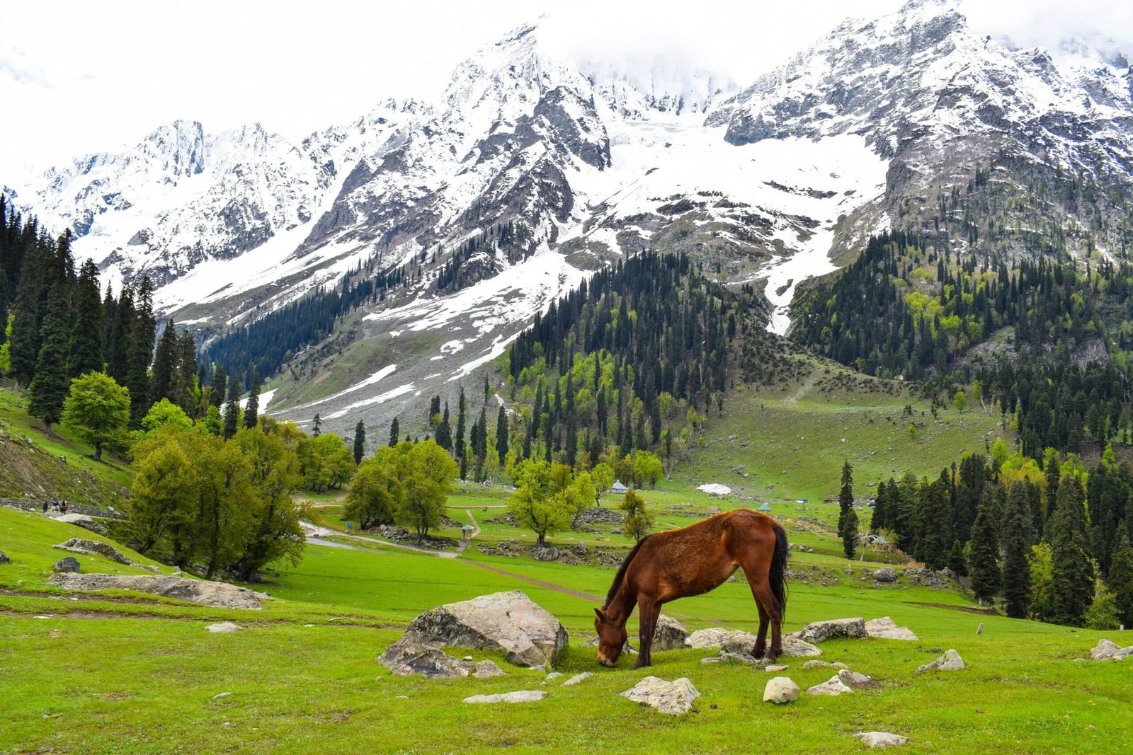 Pahalgam