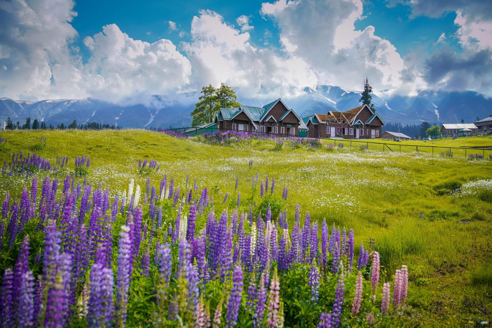 6 Days Kashmir Couple Retreat with Doodhpathri