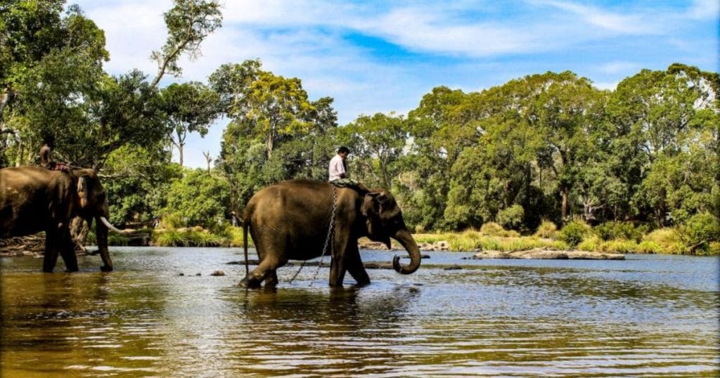 10 Best Places in Coorg for 2026 Monsoon