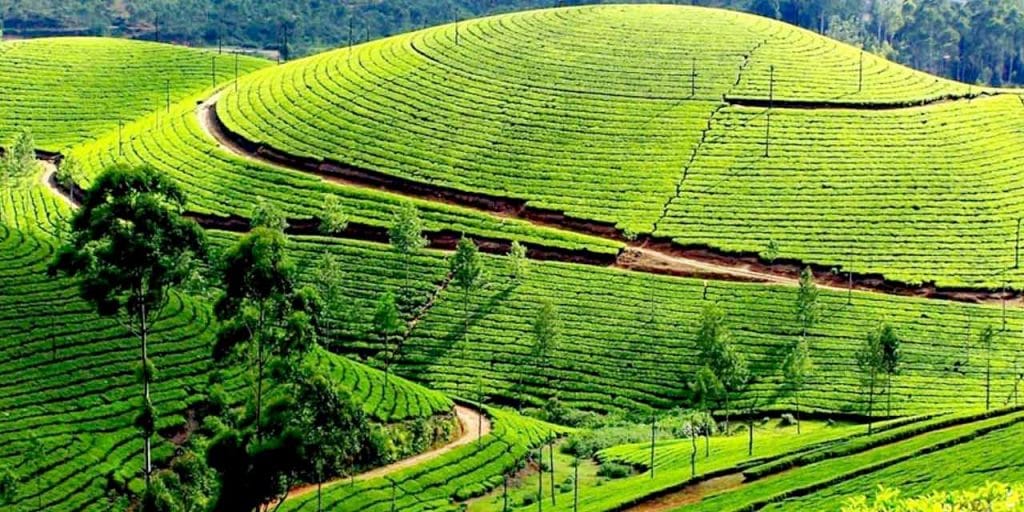 3 Days Ooty Coonoor Bliss from Coimbatore