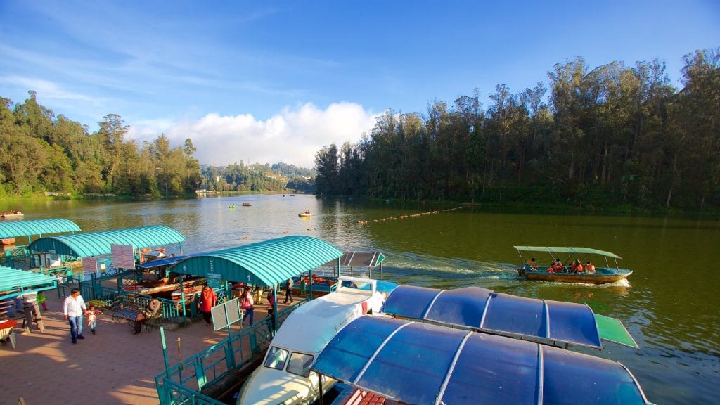 Ultimate Guide to Ooty: Top 10 Must-See Attractions