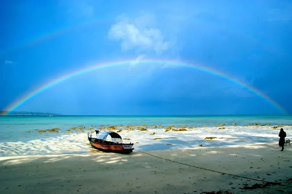 paradise beach