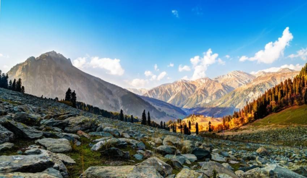 Kashmir